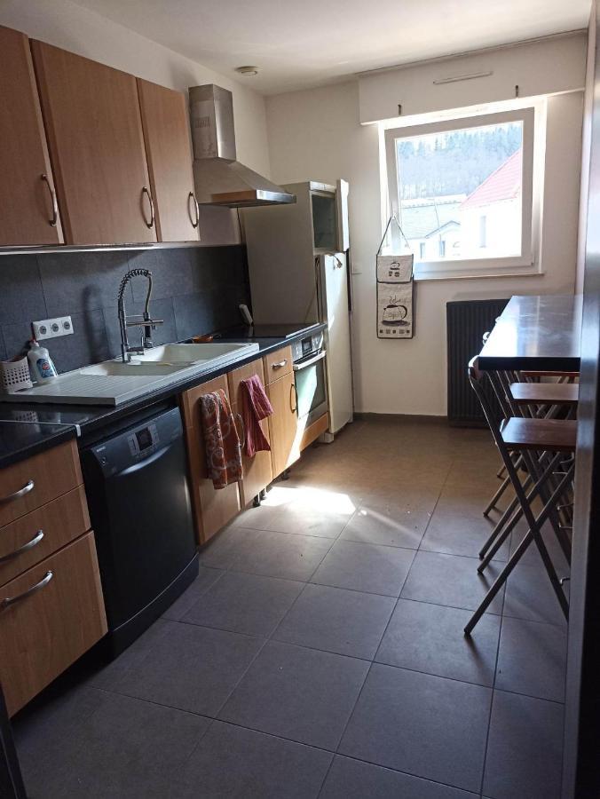 Appartement Gauche Avec Balcon Hargarten-aux-Mines Екстериор снимка